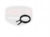 MZ/TS 250 SPRING F. GEARSHIFT TROPHY