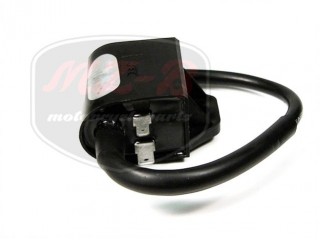 SUZUKI SEPIA CDI UNIT AD50,SEPIA