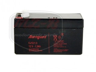 EGYÉB UNIVERSAL BATTERY 12V 1,2AH JELLY 98X44X53