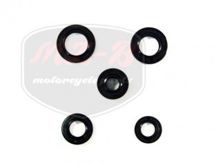 KÍNAI ROBOGÓ UNIVERSAL OIL SEAL KIT KING,DELTA