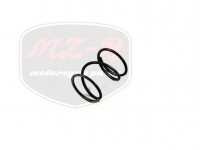 MZ/TS 150 SPRING