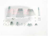 MZ/ES 250/2 SCREW SET /CYLINDER BLOCK/