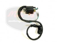 KÍNAI ROBOGÓ QUAD IGNITION COIL QUAD70