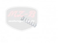 SIMSON UNIVERSAL SPRING