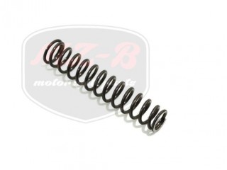 ETZ SUPER.ELASTIK SPRING WG18