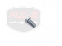 SIMSON 51 SCREW FOR CLUTH PLATE M5X12