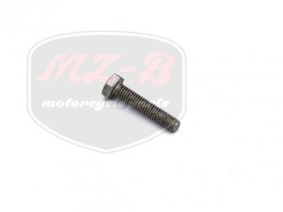 EGYÉB UNIVERSAL SCREW M6X30 ESKA