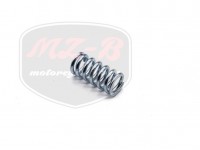 MZ/TS 250 SPRING