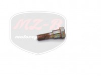 SUZUKI EKO UNIVERSAL SCREW CLUTCH LEVER