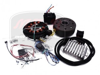PANNONIA P20/21 IGNITION SET ASSY /VAPE/ 2 CYLINDER